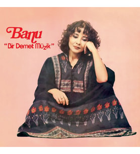 Banu Bir Demet Müzik - Plak