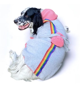 Pocket Rainbow Sweatshirt Orta ve Büyük Irklar İçin