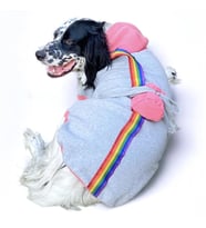 Pocket Rainbow Sweatshirt Orta ve Büyük Irklar İçin