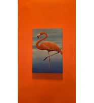Deniz Kenarıda Flamingo Natürel Tasarım Ahşap Çerçeve Ev İşyeri Ofis Duvar Kanvas Tablo ANML3 (Çok Renkli)