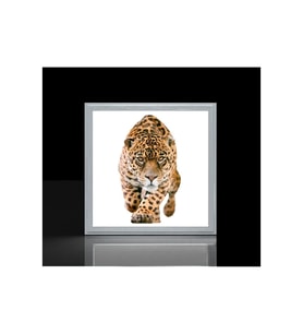Leopar Led Avize 60cmx 60xm Büyük Kare-60w Güçlü Işık 30m2 Alan Aydınlatır- Sıva Üstü Kolay Montaj