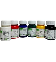 Südor Kumaş Boya 25 ML 6 Renk SD940