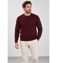 Erkek Kabartma Dokulu Bisiklet Yaka Triko Kazak S25 W22CT057-Bordo
