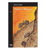 Toplum Böceği