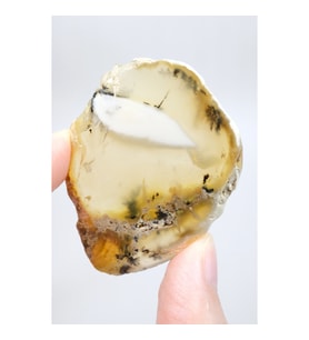 Merlinit Dilimi – Şeffaf Sarı ve Beyaz Dendritik Opal ile İnce Siyah İçerikler, 13g