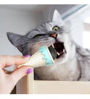 Dondurma Modeli Kedi Otu Nanesi Oyuncağı Çift Bantlı