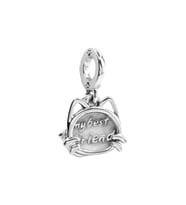 Kedim En İyi Arkadaşım Charm  925 Ayar Gümüş