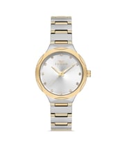 Ferro FL40114A-D Quartz Çelik Gold/Gri 32 mm Kadın Kol Saati