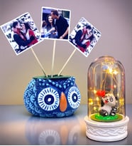 Sizlere Özel Hediye Seti 3 Fotoğraflı Baykuş Tasarımlı Saksı ve Led Işıklı Fanus (Model 4)