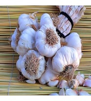 Sarımsak - 1 Kg