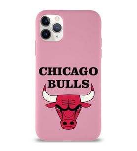 Apple iPhone 11 Pro Max  Lansman Kılıf Chicago Bulls Tasarımlı Altı Kapalı İçi Kadife Kaplı  Kapak (Şeffaf)