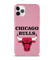 Apple iPhone 11 Pro Max  Lansman Kılıf Chicago Bulls Tasarımlı Altı Kapalı İçi Kadife Kaplı  Kapak (Şeffaf)