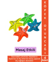 Evcil Hayvan Köpek Diş Temizliği Kaşıma Masaj İlgi Çekici Denizyıldızı Figür Çiğneme Oyuncağı 4 Adet