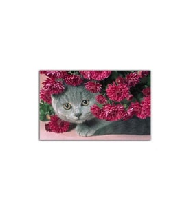 Karanfiller Içinde Scottish Fold Kedi Tablo - 106756 - 50x50 Cm
