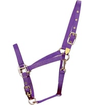sutyen Quality 2,5 cm genişliğinde Average, 800-1100 Pounds 1DAS AVPU