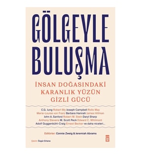 Gölgeyle Buluşma - İnsan Doğasındaki Karanlık Yüzün Gizli Gücü