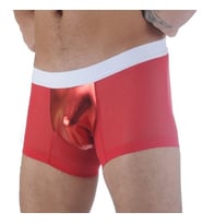 Kadın Boxer - Transparan