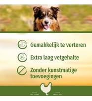 Lexroo Chicken Mini Küçük Boy Tavuklu Kemik 18'li, 228 Gr Köpek Ödülü