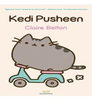 Kedi Pusheen