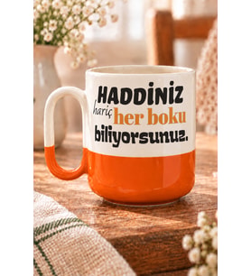 Haddiniz Hariç Her B*ku Biliyorsunuz Baskılı Turuncu Alt Yarısı Renkli Arya Kupa - Komik Hediye