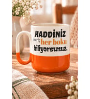 Haddiniz Hariç Her B*ku Biliyorsunuz Baskılı Turuncu Alt Yarısı Renkli Arya Kupa - Komik Hediye