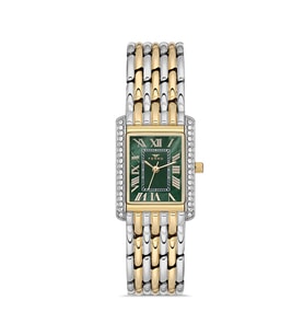 Ferro FL21483A-D6 Quartz Çelik Altın/Gri Yeşil Kadran 22 mm Kadın Kol Saati