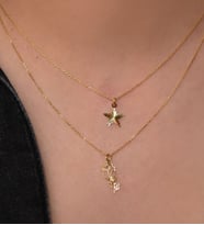 Papatya Silver 925 Ayar Gümüş Altın Kaplama Kristal Kesim Yıldız ve Yapraklı Gül Asansörlü Kolye