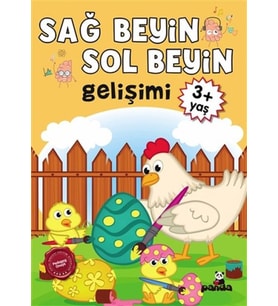 3 Yaş Sağ Beyin-Sol Beyin Gelişimi
