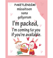 Paketlendim Müsaitsen Sana Geliyorum-Türkçe-İngilizce 5,2x8,2 cm 100 Adet