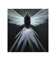 PİLLİ !! Kartal Şeklinde 3d Baskı Ile Üretilmiş Renkli Dekoratif Gece Lambası/aplik