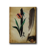 Elif Tablo VED144