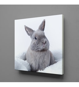 GRİ TAVŞAN KANVAS TABLO 170x170cm