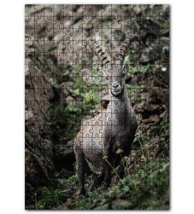 Cakapuzzle Görkemli Boynuzlarıyla Dağ Keçisi Puzzle Yapboz MDF (Ahşap) (120 Parça)