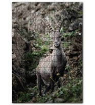 Cakapuzzle Görkemli Boynuzlarıyla Dağ Keçisi Puzzle Yapboz MDF (Ahşap) (120 Parça)