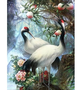 Kuş Cenneti Sayılarla Boyama Seti 40x50 cm (Tuvale Gerili)