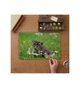Papatyaların İçinde Sevimli Yavru Kedi Tasarımı 240 parça Ahşap Puzzle Ahşap Kutuda MP05089