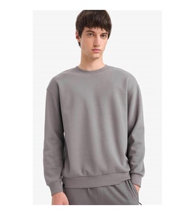 Defacto  Gri Erkek Sweatshirt E1519AX/GR206