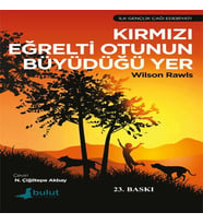 Kırmızı Eğrelti Otunun Büyüdüğü Yer