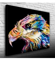 Çok ve Canlı Renklerde Dekoratif Şahin Kanvas Tablo 50 x 70