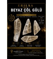 Sertifikalı Beyaz Çöl Gülü Selenit Taşı Kütle - 6-9 cm Doğal Yaprak Form Ham Kristal