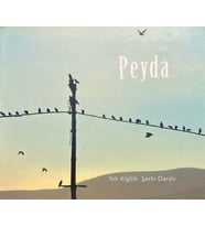(Plak Değildir CD dir) CD Peyda Tek Kişilik Şarkı Dardır CD (Karışık)