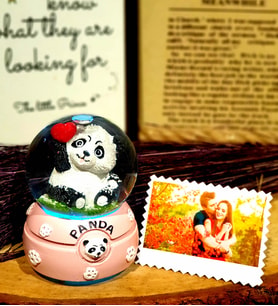 Kişiye Özel Romantik Panda Işıklı Kar Küresi
