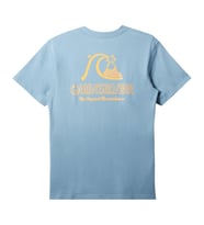 Quıksılver THE ORIGINAL BOARDSHORT MOR Erkek T-shirt AQYZT09560-QK.18406 (Mavi)