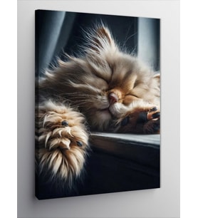 Kanvas Tablo Pencerede Uyuyan Kedi