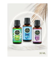 Fresh + Okyanus + Lavanta ( Oda Kokusu Aroma Terapi Buhurdanlık / Difüzör Yağı ) 3 Adet x 30 ML