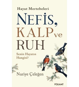 Nefis, Kalp ve Ruh