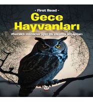 Gece Hayvanları