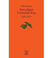 Yanardağın Üstündeki Kuş