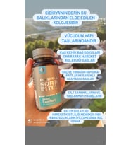 Siberian Wellness Essential Sorbents JOINT COMFORT kolojen