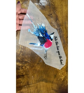 ÜTÜ İLE YAPIŞAN RENKLİ KUŞ TRANSFER BASKI ARMA 29X14 CM